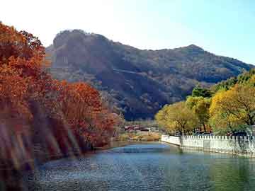 管家婆黑白马报图库，中国卫通集团